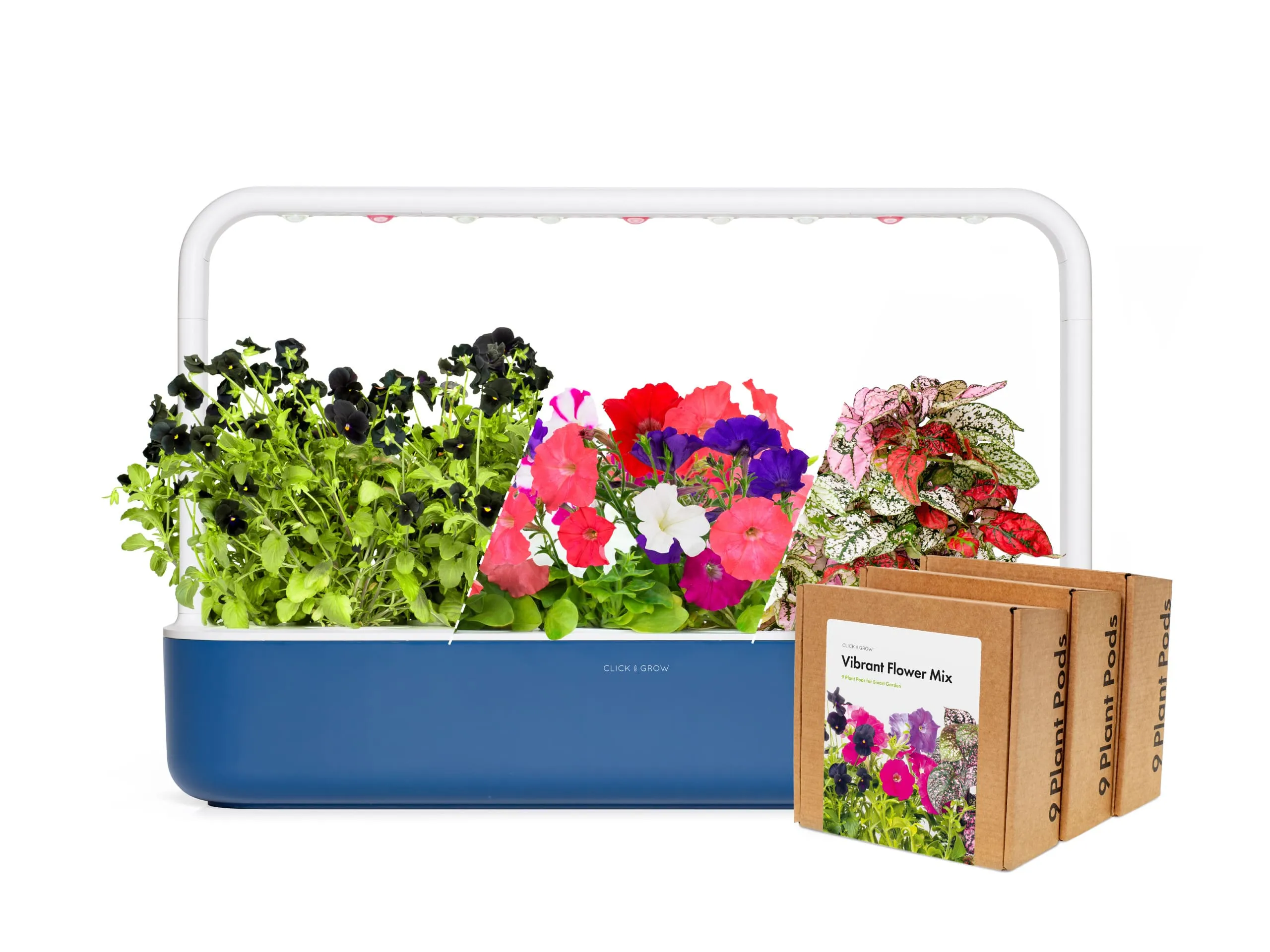 Big "Vibrant Flower" Kit Limited Edition
