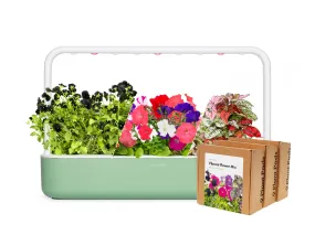 Big "Vibrant Flower" Kit Limited Edition