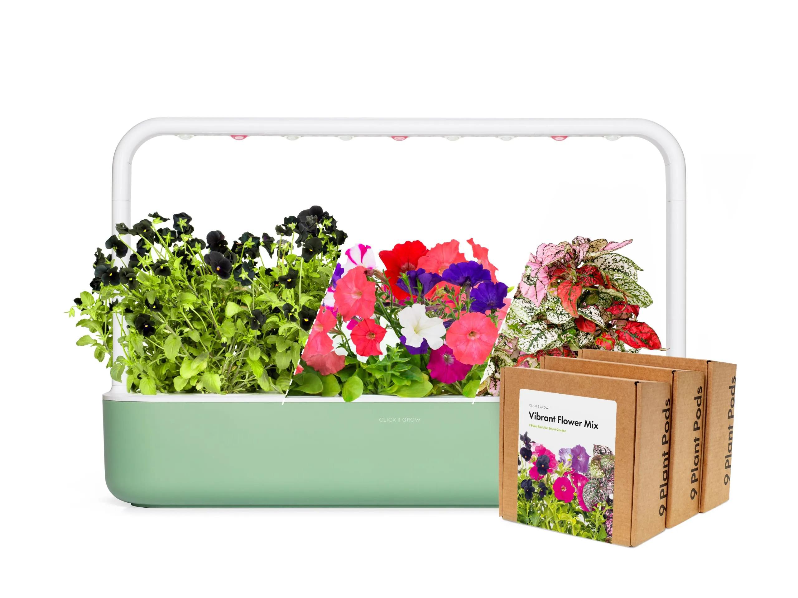 Big "Vibrant Flower" Kit Limited Edition