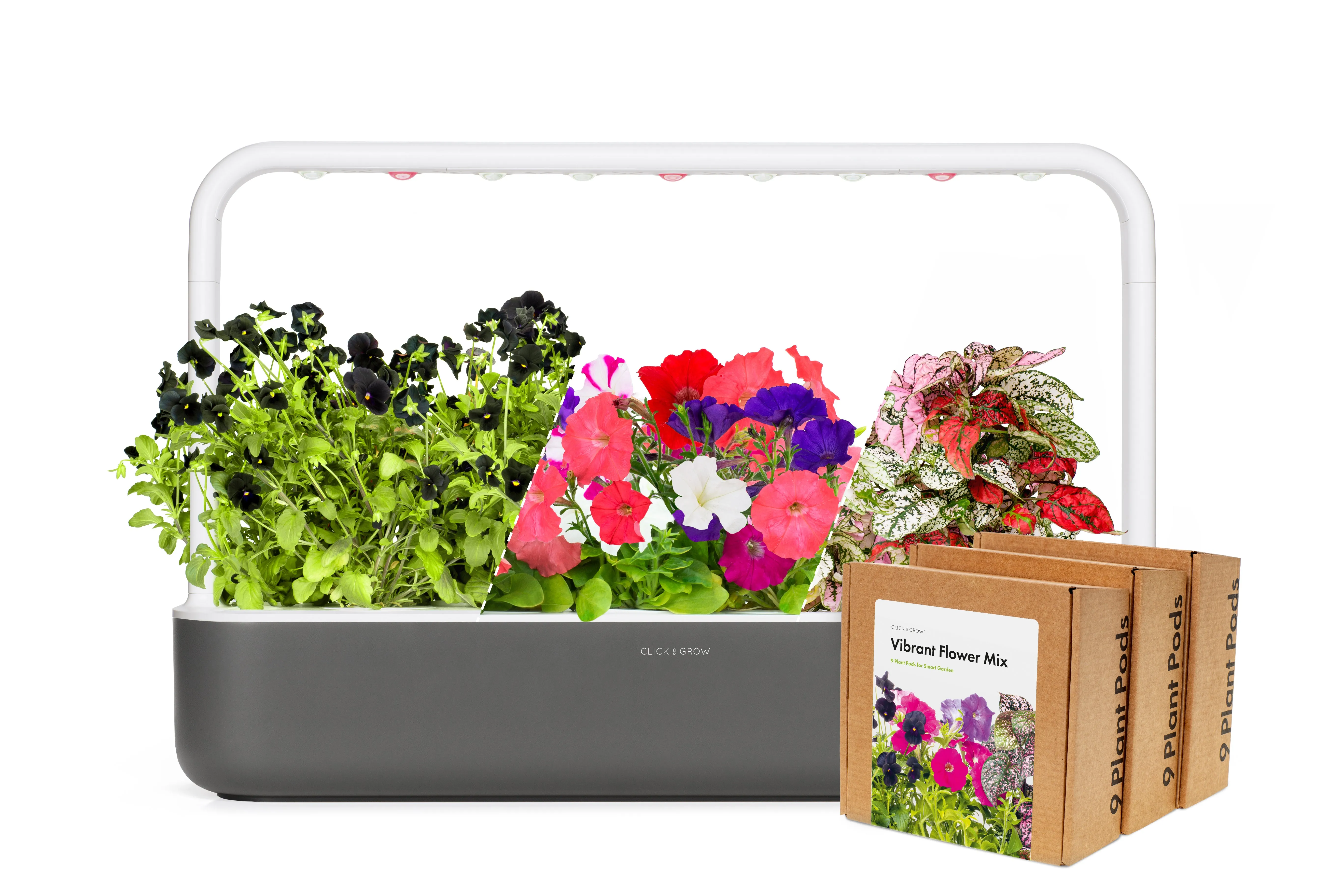 Big "Vibrant Flower" Kit