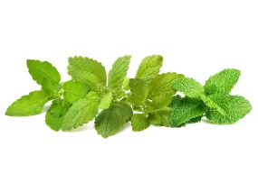 Calming Tea Mix 9-pack
