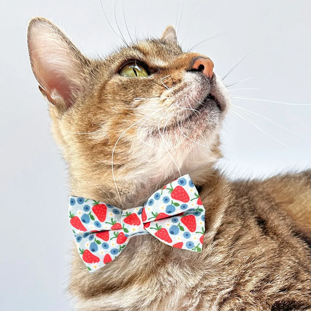 Cat Bow Tie - "Berry Bramble" - Blueberry Bow Tie for Cat, Fruit, Blueberries, Strawberry Cat Bow, Patriotic Red Blue Cat   Small Dog Bowtie