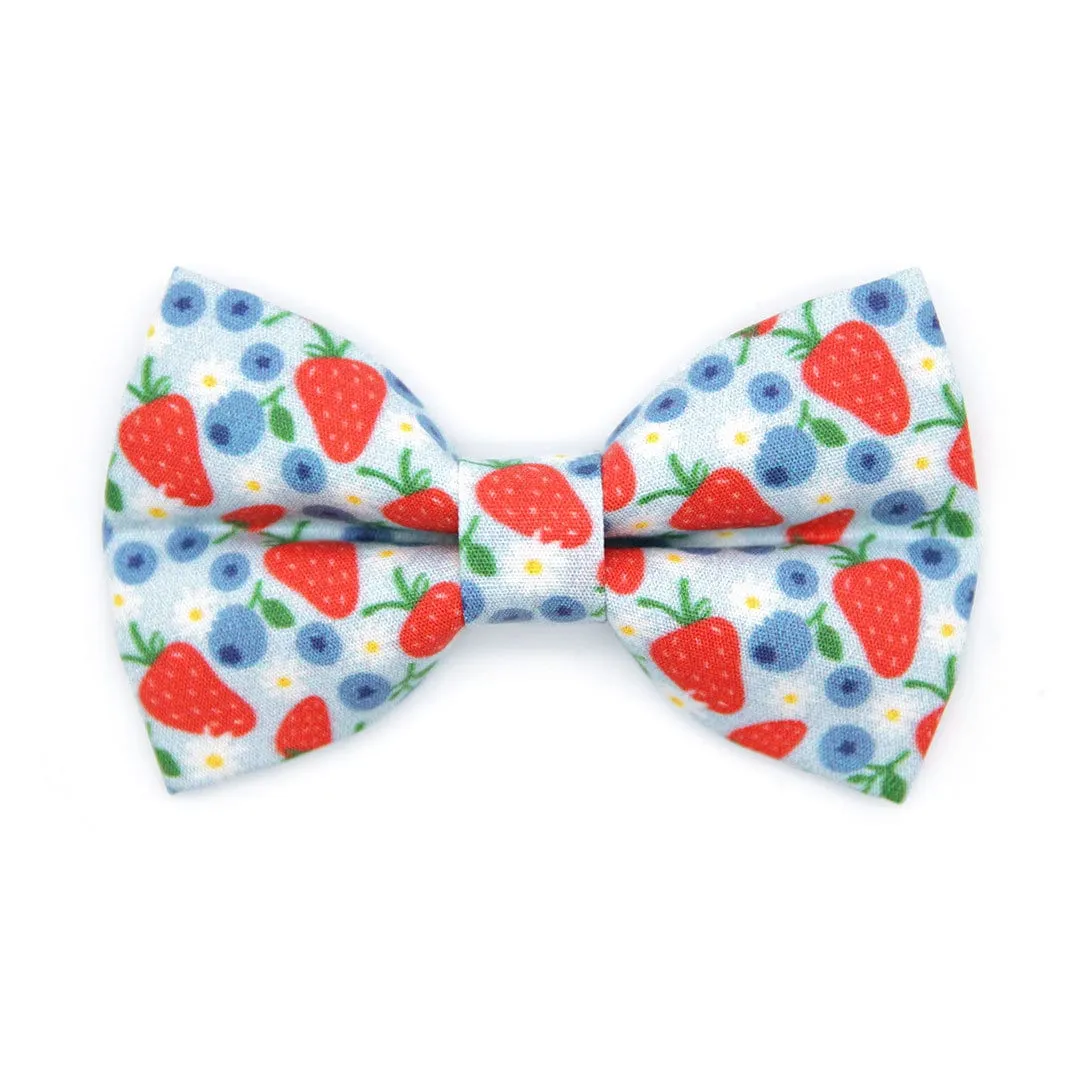Cat Bow Tie - "Berry Bramble" - Blueberry Bow Tie for Cat, Fruit, Blueberries, Strawberry Cat Bow, Patriotic Red Blue Cat   Small Dog Bowtie
