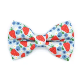 Cat Bow Tie - "Berry Bramble" - Blueberry Bow Tie for Cat, Fruit, Blueberries, Strawberry Cat Bow, Patriotic Red Blue Cat   Small Dog Bowtie