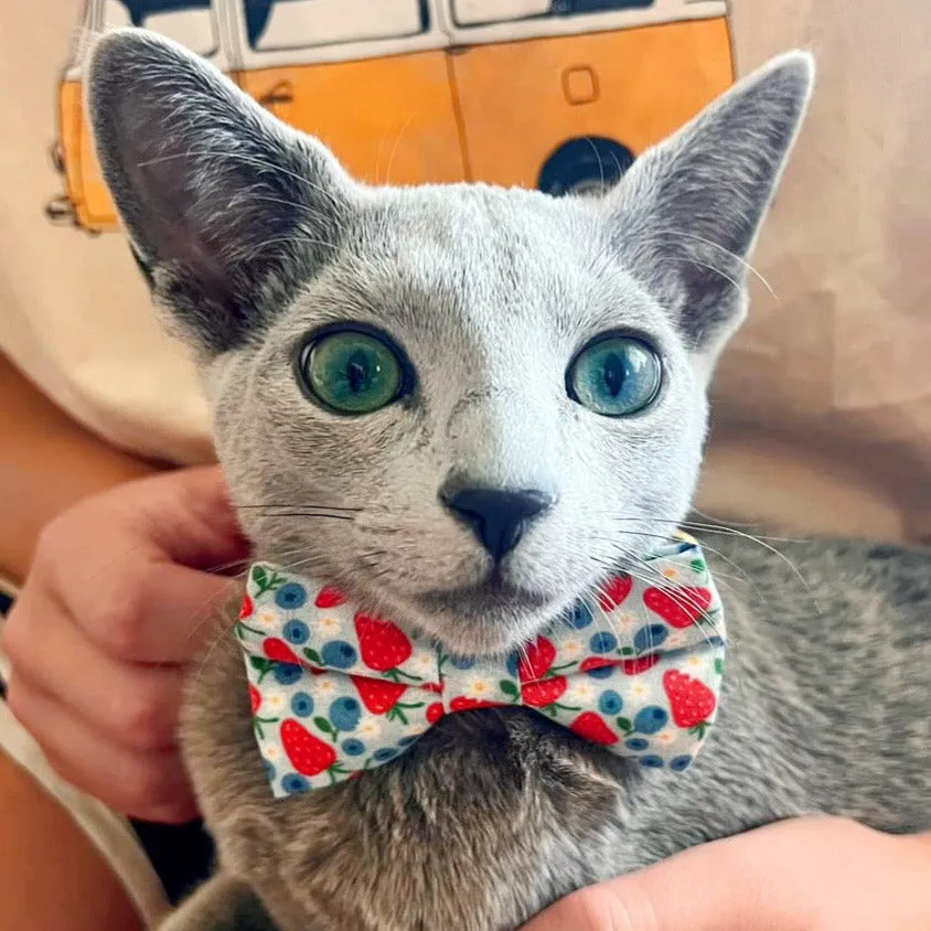 Cat Bow Tie - "Berry Bramble" - Blueberry Bow Tie for Cat, Fruit, Blueberries, Strawberry Cat Bow, Patriotic Red Blue Cat   Small Dog Bowtie