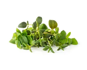 Italian Herb Mix 9-pack