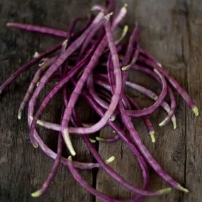 Mosaic Yard Long Bean (Heirloom 65 Days)