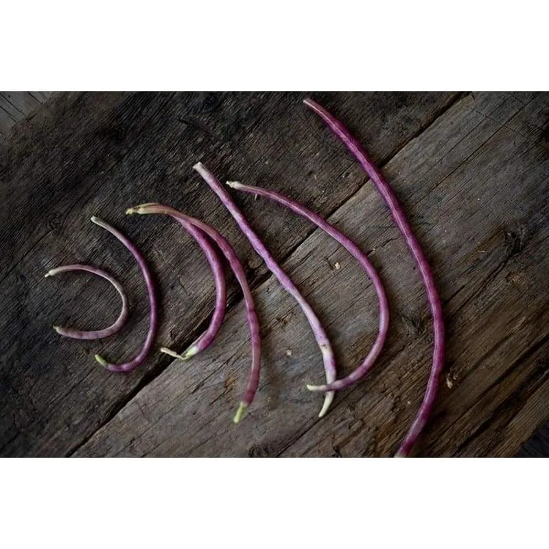 Mosaic Yard Long Bean (Heirloom 65 Days)