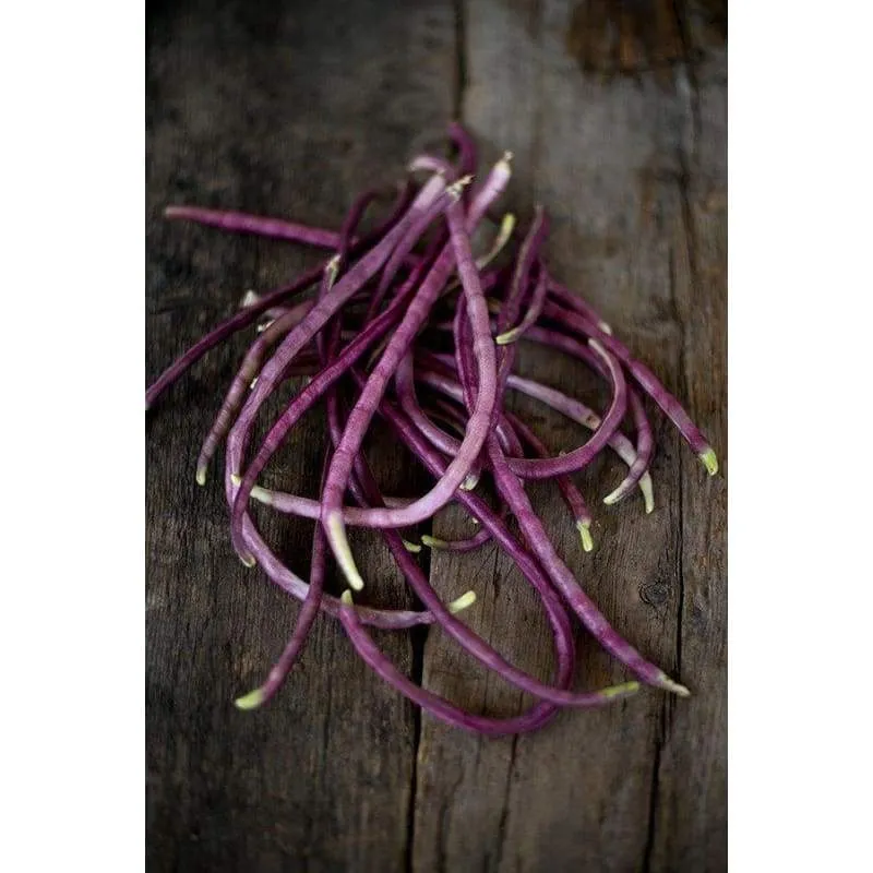 Mosaic Yard Long Bean (Heirloom 65 Days)