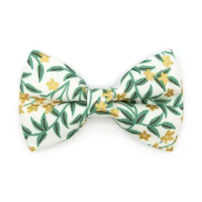 Pet Bow Tie - "Golden Vine" - Rifle Paper Co® Green Leaf Cat Bow / Summer, Fall, Forest, Garden / For Cats   Small Dogs (One Size)