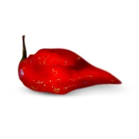 Red Devils Tongue Pepper Seeds