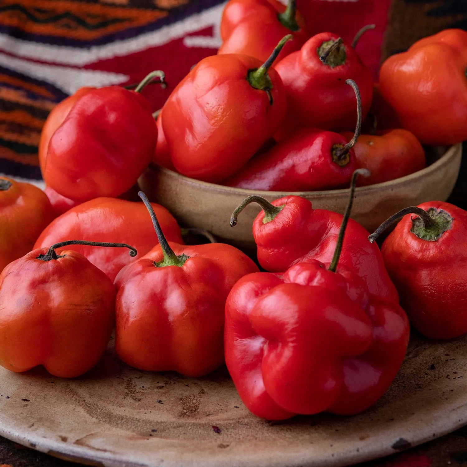 Red Rocoto Pepper Seeds
