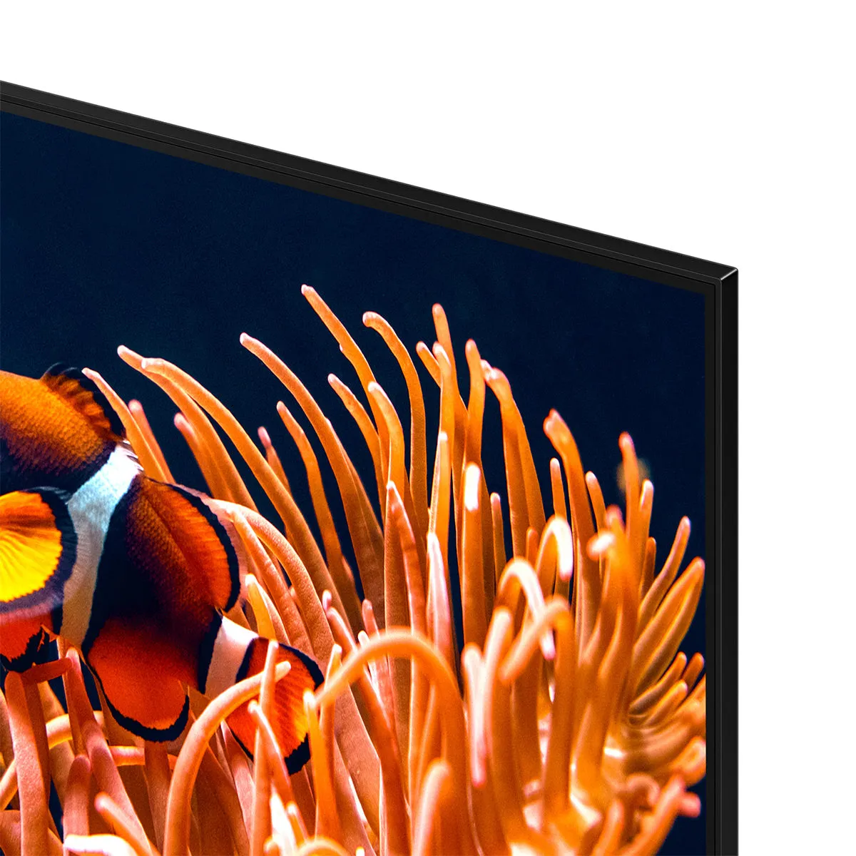 Samsung DU8000 75" Crystal UHD Smart TV (2024)