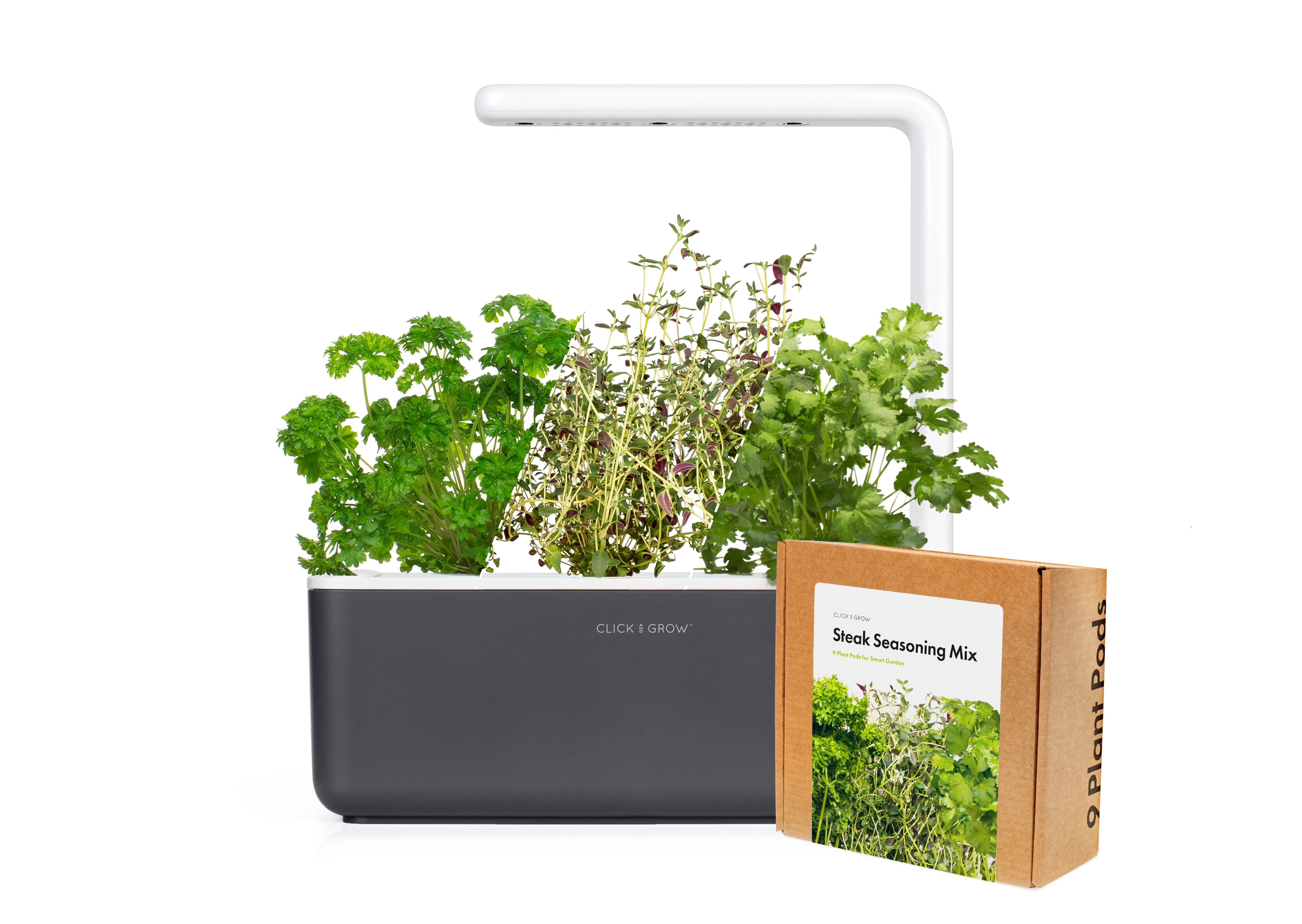 Small "Steak Seasoning" Kit