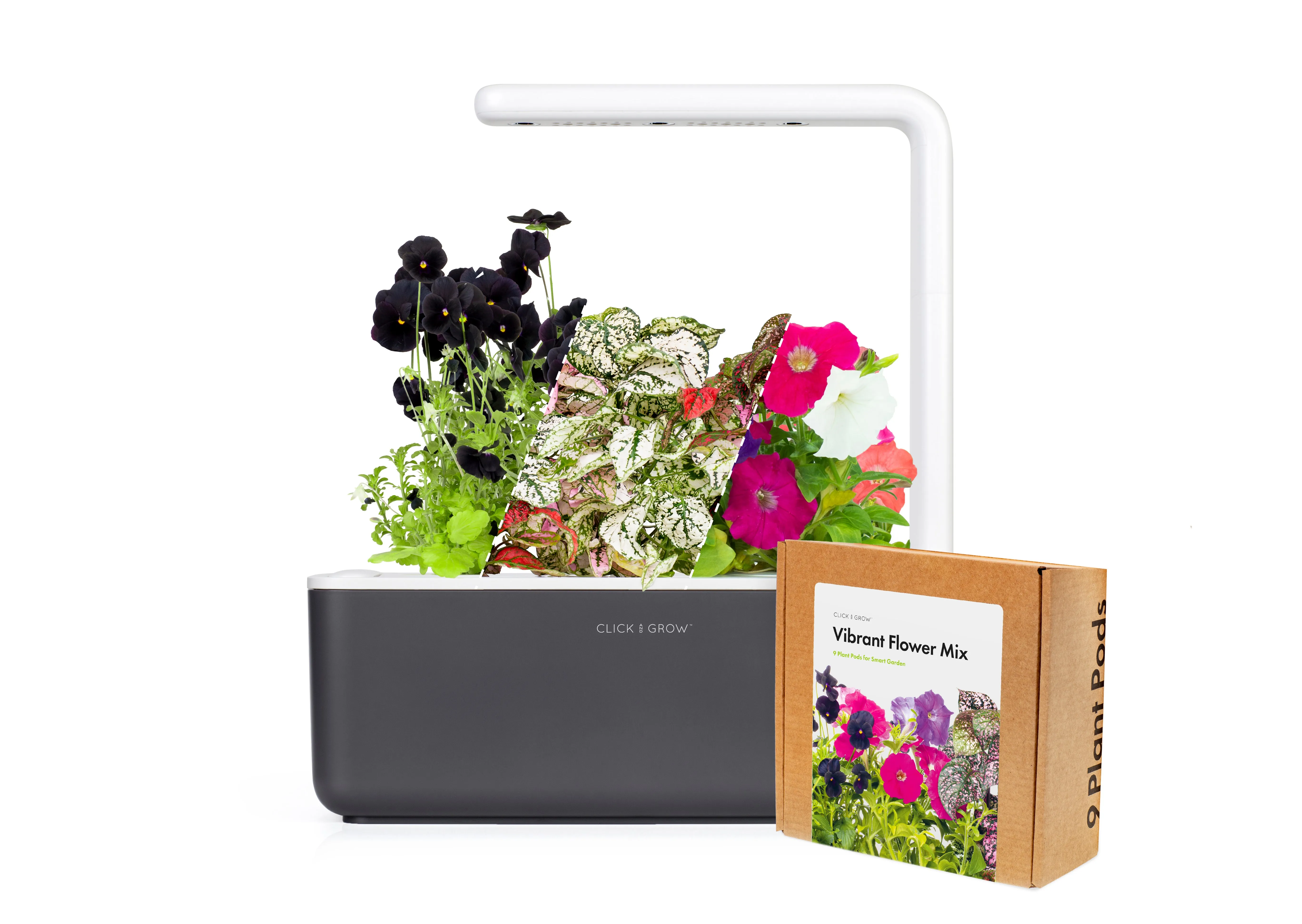 Small "Vibrant Flower" Kit