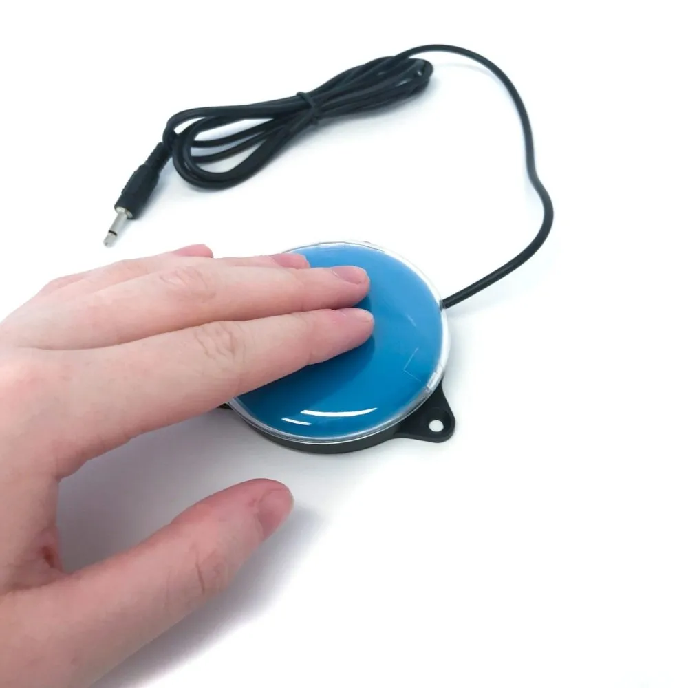 Switch with Mount & Perspex Cover