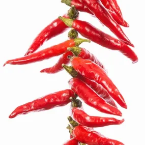Yatzy or the Yatsufusa Pepper Seeds