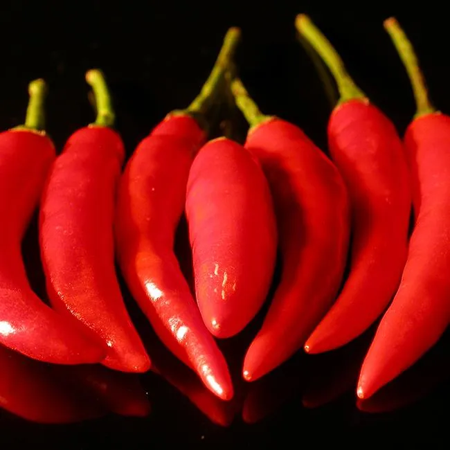 Yatzy or the Yatsufusa Pepper Seeds