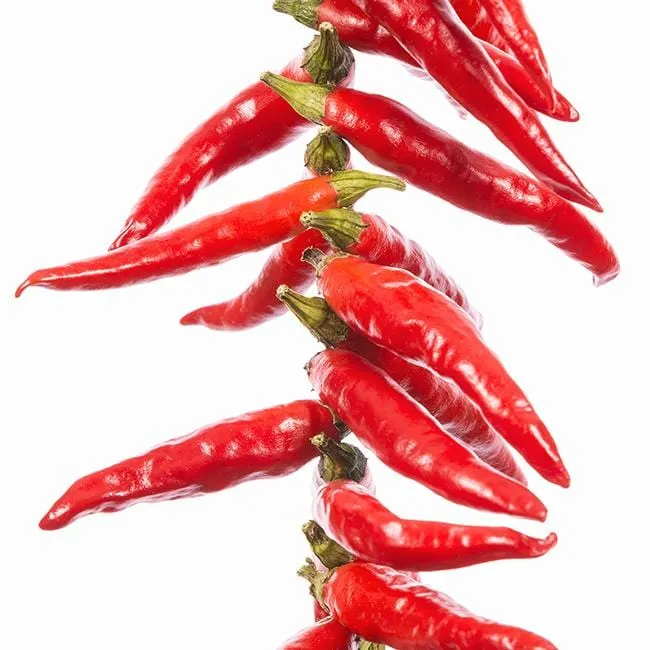 Yatzy or the Yatsufusa Pepper Seeds